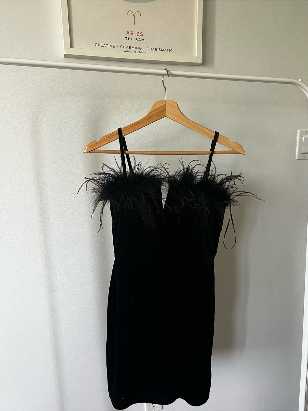Francesca's Collections Black Velvet Feather-Trim Mini Dress